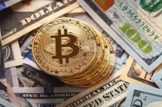 criptovalute-bitcoin-cosa-sono-740x493-1-236x157 Uno studio rivela che circa il 60% della popolazione mondiale non capisce le criptovalute  