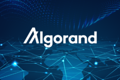 Algorand: è un token da acquistare in questo momento? - algorand price analysis is now a good time to buy this cryptocurrency 236x157