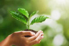 google-search-eco-friendly-615eb5e872143-sej-1280x720-1-236x157 Criptovalute e sostenibilità: un connubio possibile?  