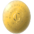 cmc currency details - gold bits coin